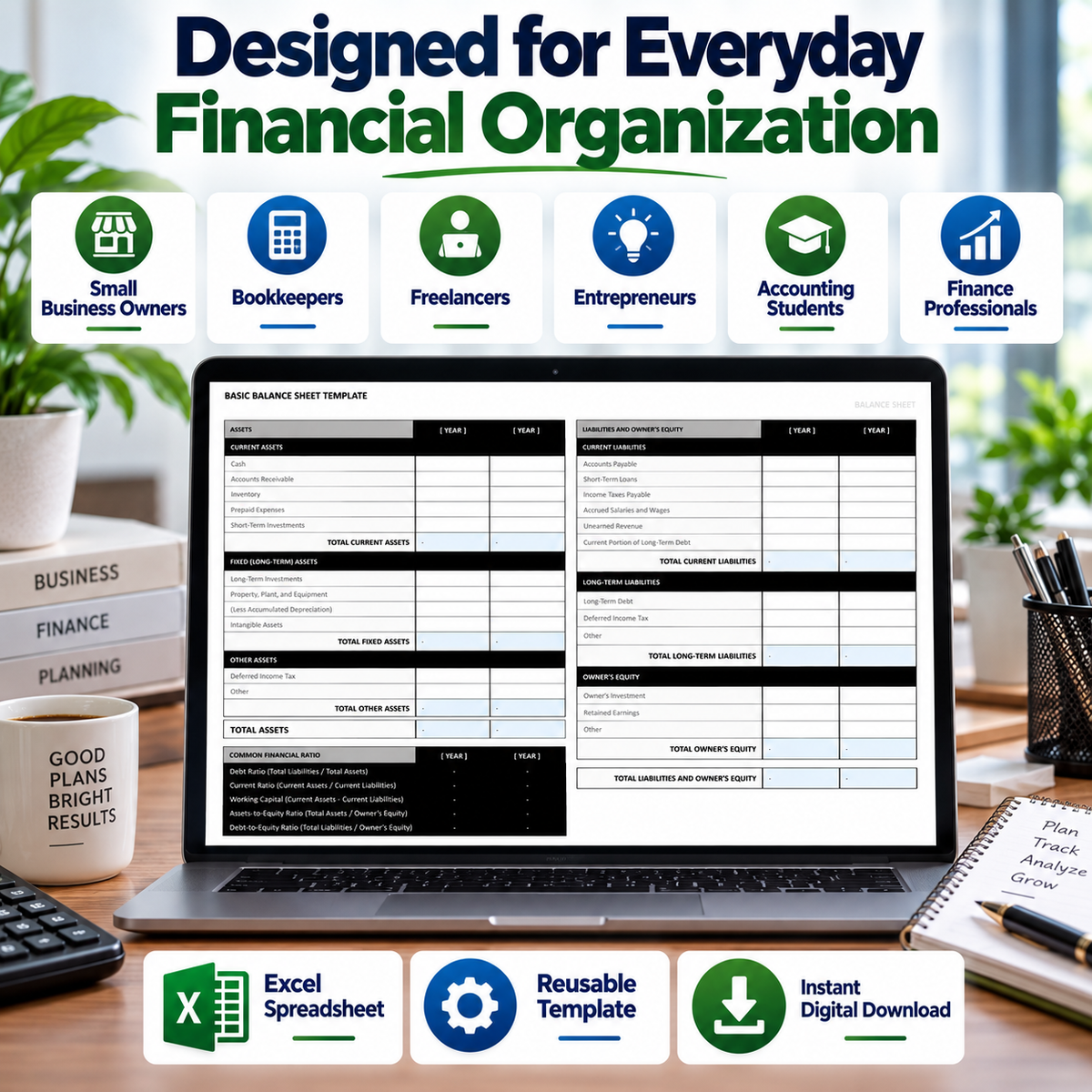 Basic Balance Sheet Excel Template | 2-Year Financial Statement & Ratio Analysis Spreadsheet