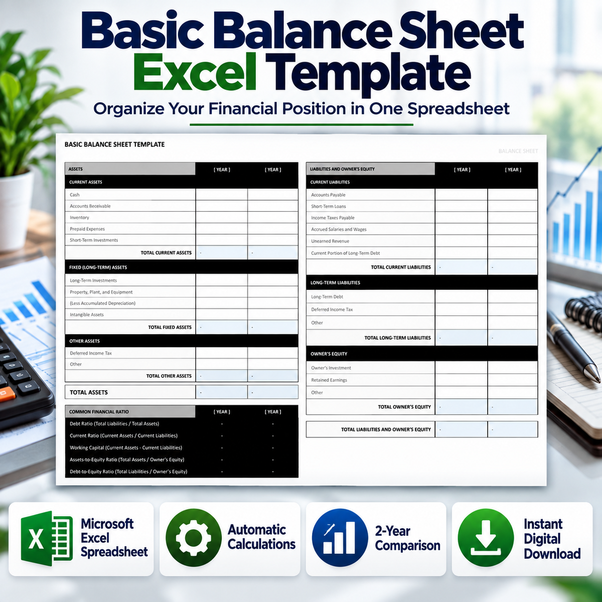 Basic Balance Sheet Excel Template | 2-Year Financial Statement & Ratio Analysis Spreadsheet