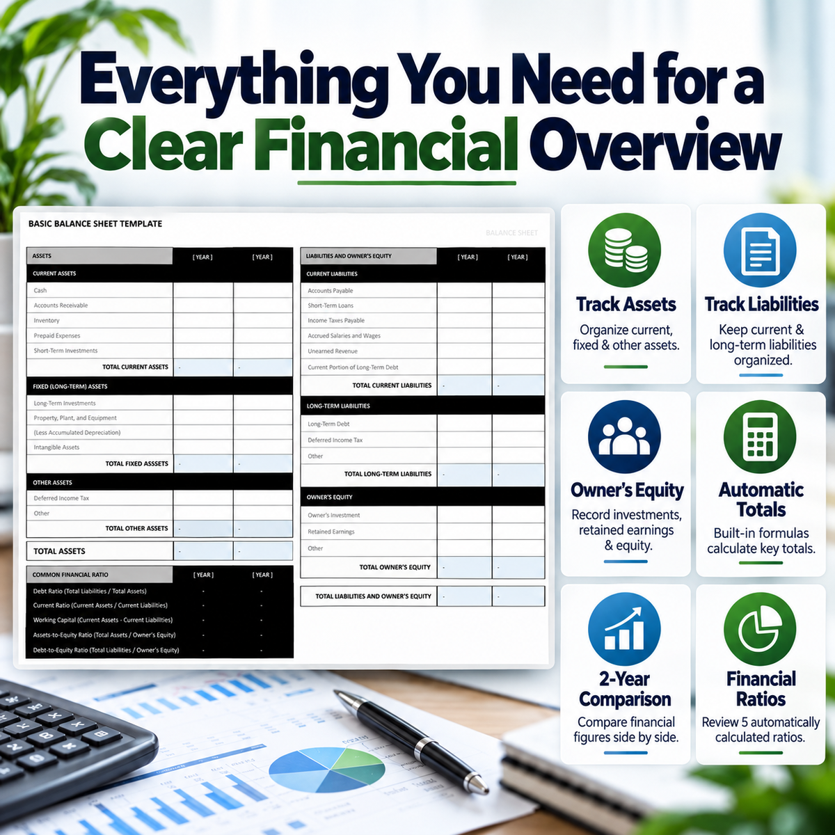 Basic Balance Sheet Excel Template | 2-Year Financial Statement & Ratio Analysis Spreadsheet