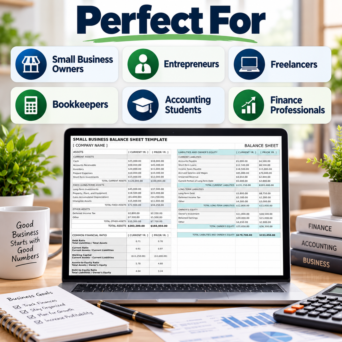 Small Business Balance Sheet Excel Template | 2-Year Financial Statement Spreadsheet